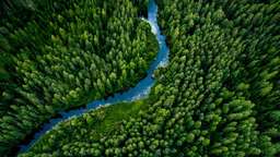 Things to Do in Finland