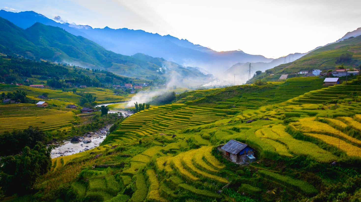 Terraced fields of Sapa in August.
