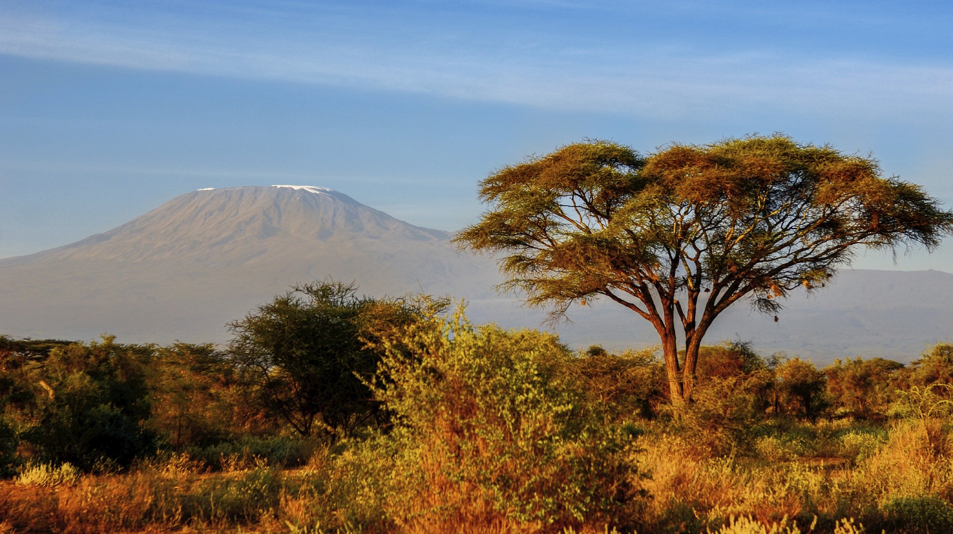 A picture taken during the best time to Climb Kilimanjaro.