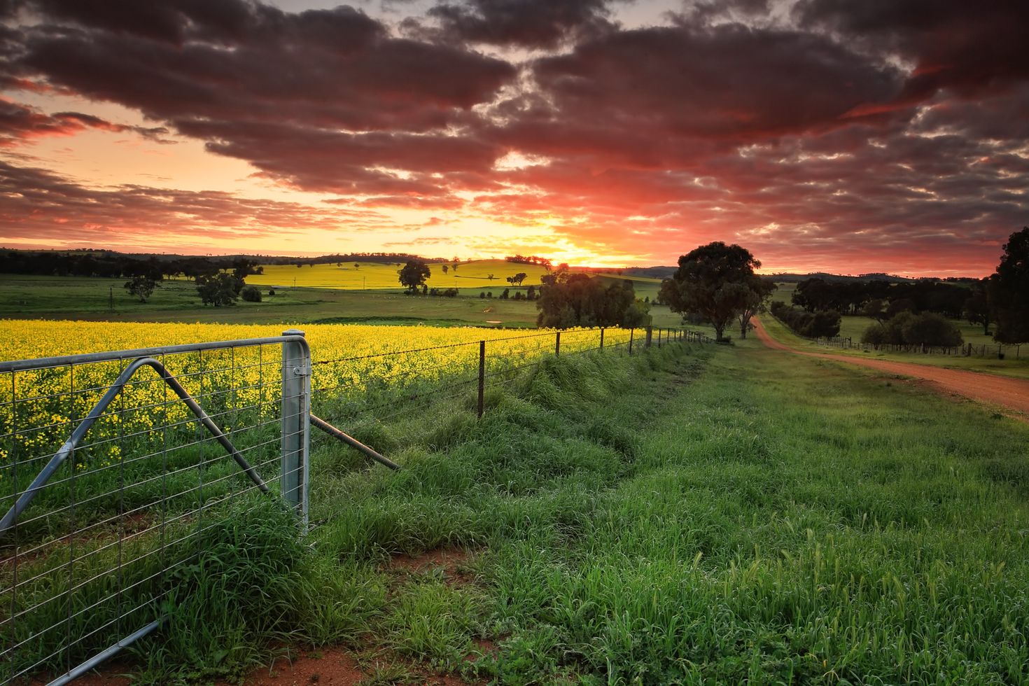 Spring in Australia is the best time to visit the country.