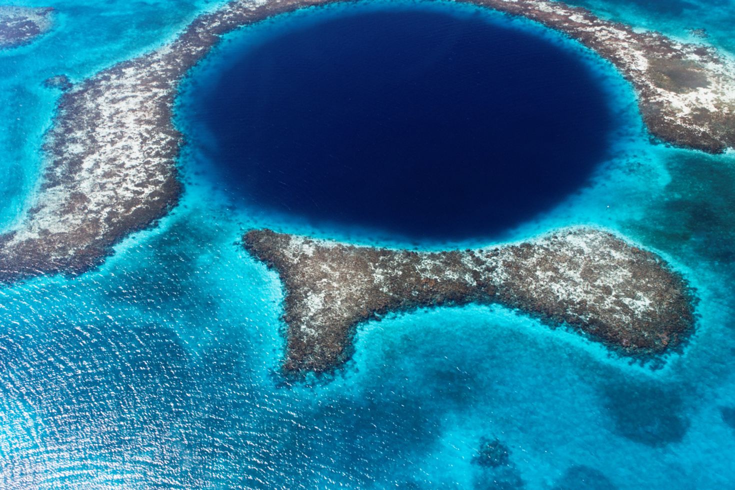 The Great Blue Hole is definitely one of the most unique dive sites