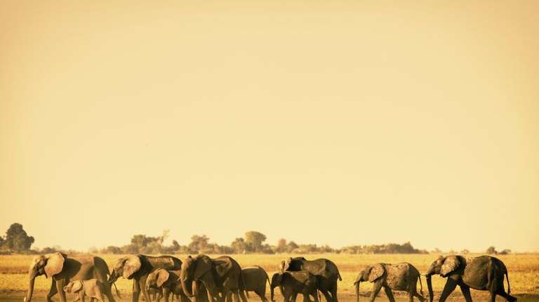 Best Time to Visit Botswana