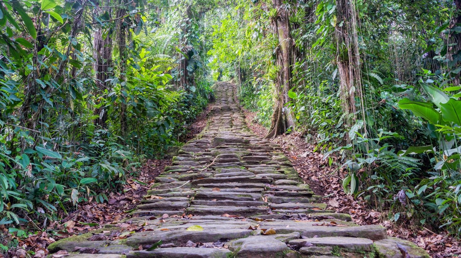 Stone stairs in Ciudad Perdida, the lost city of Colombia in March