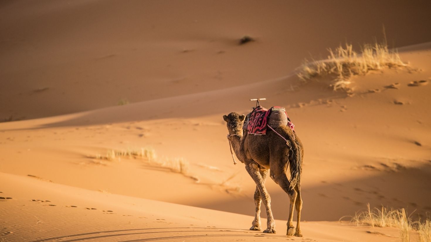 October is the best time to visit Dubai