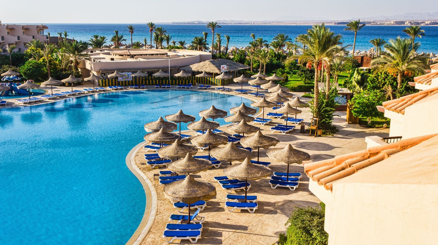 An empty swimming pool with beach benches and trees all around in Egypt. 