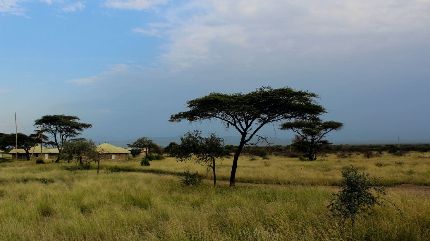 The indigenous  landscape of Ethiopia