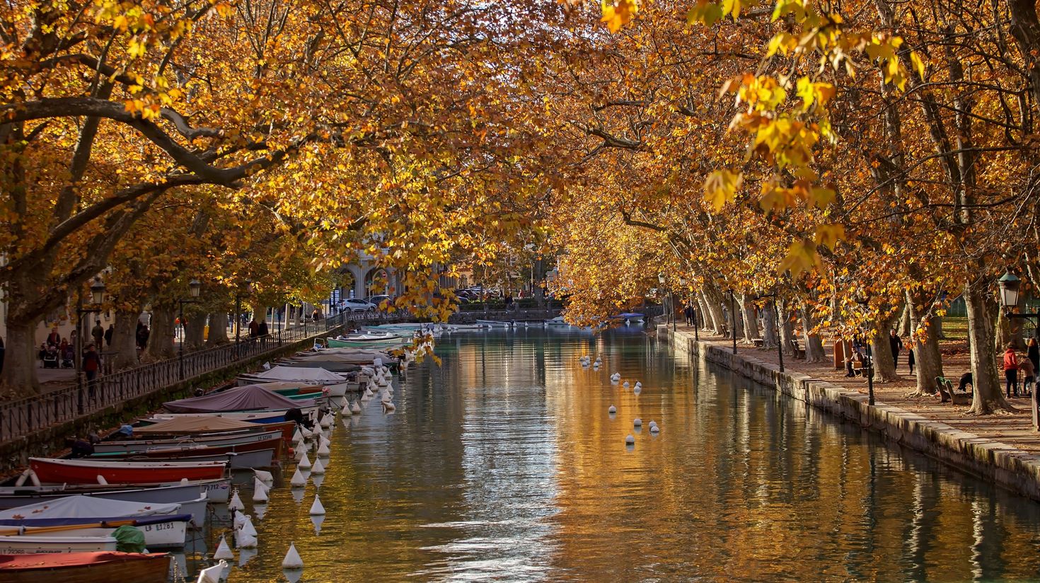 Annecy canal with autumnal yellow trees, boats, and a distant bridge.