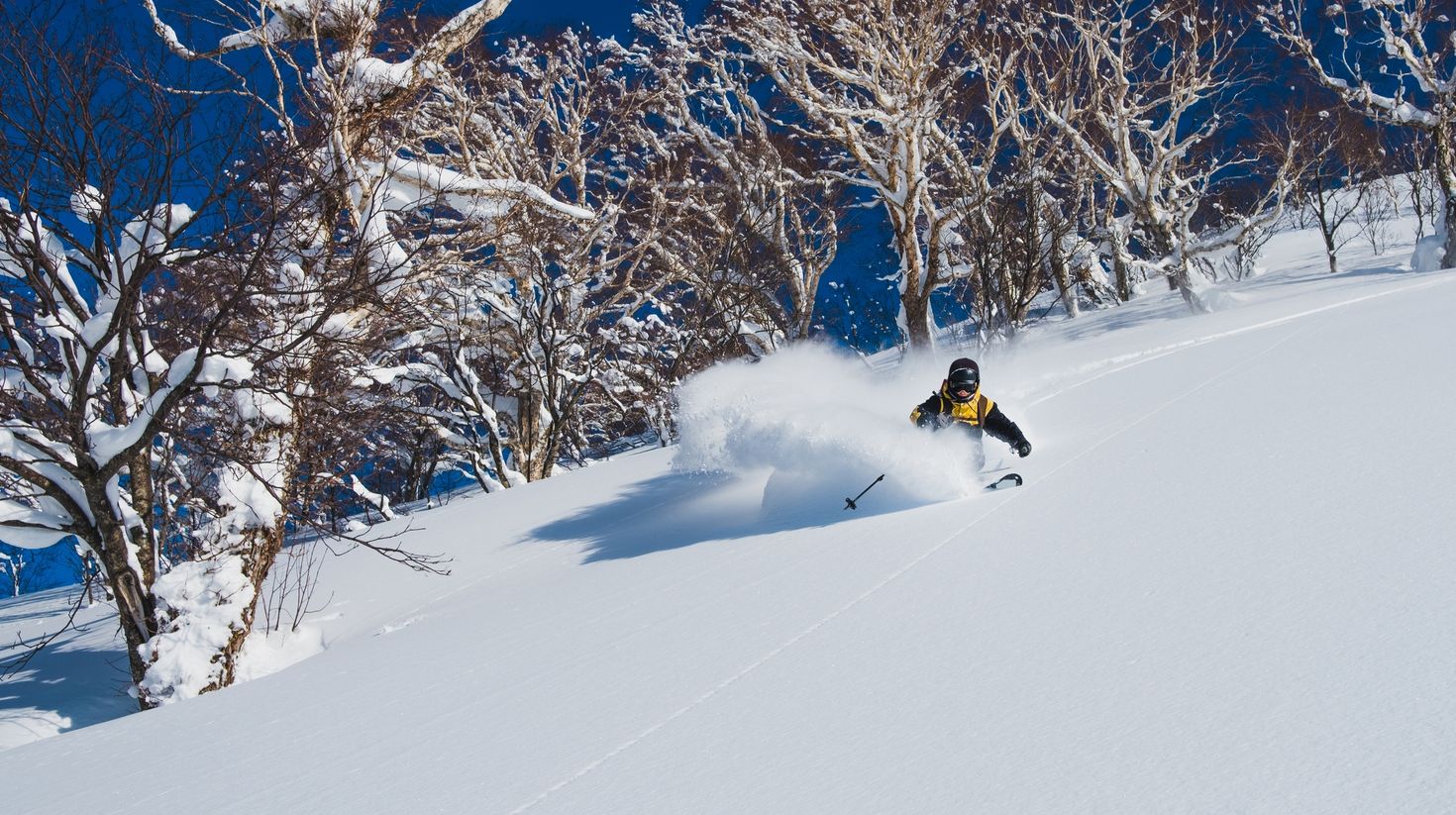 A man skiing in the snowy mountains of Japan during winter.