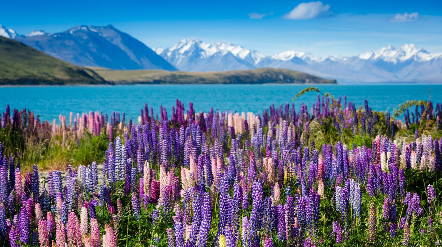Head to Lake Tekapo in New Zealand.
