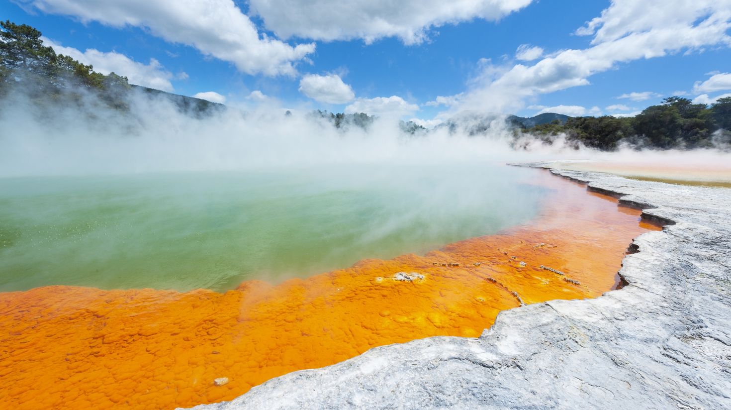 Colorful hot spring in Rotorua in New Zealand.