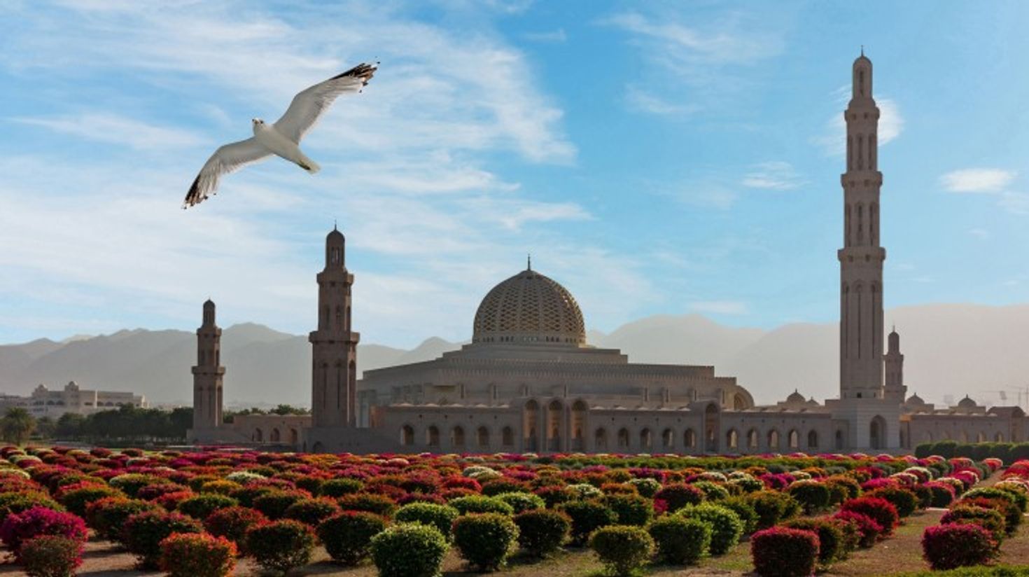 Sultan Qaboos Mosque during spring in Oman.