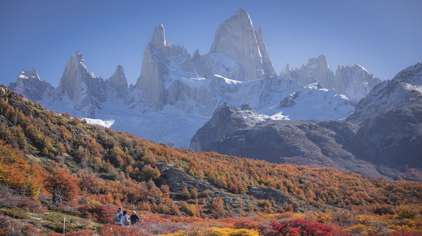 Golden hues during autumn in El Chalten.