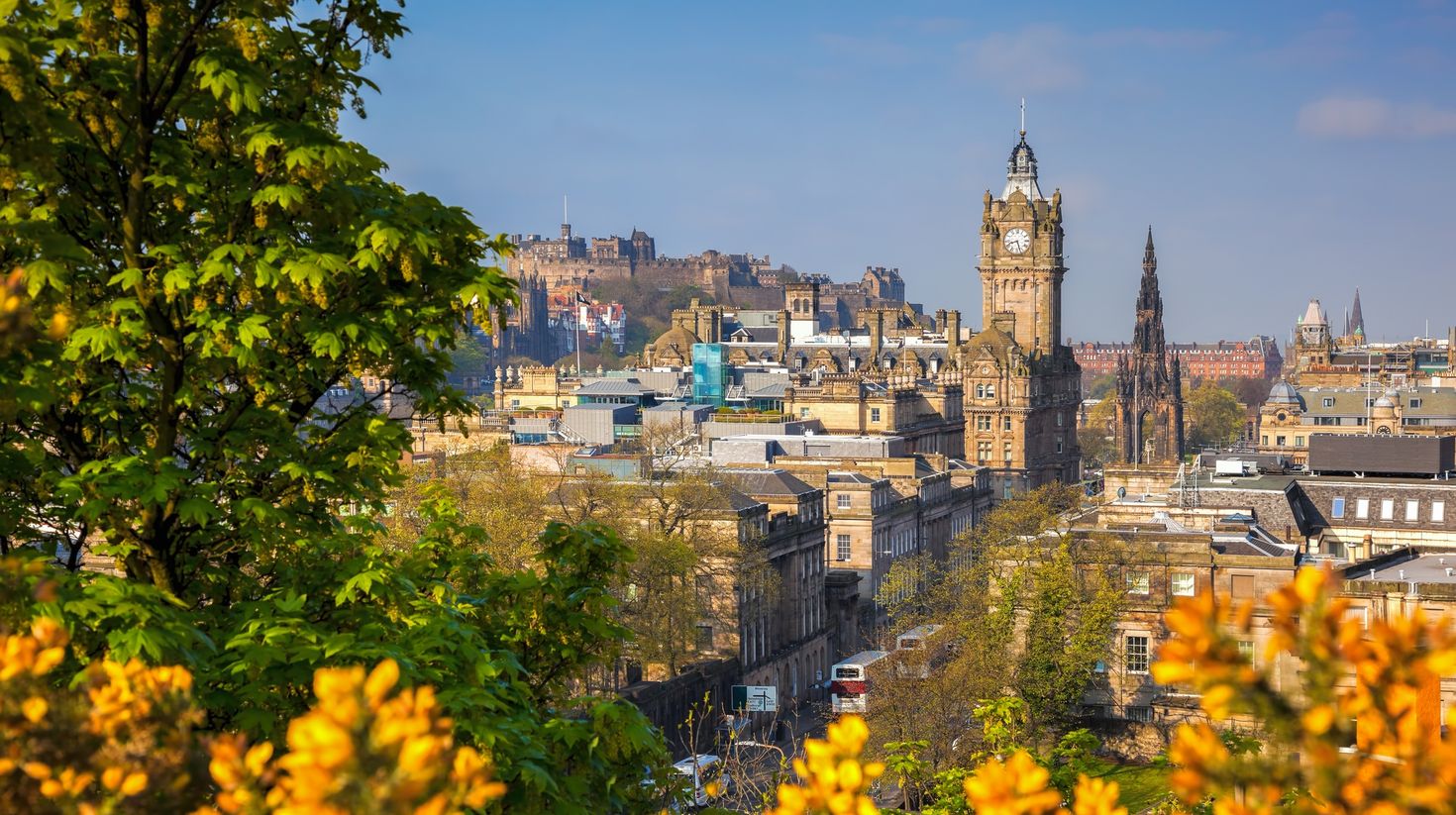 Spring in Scotland