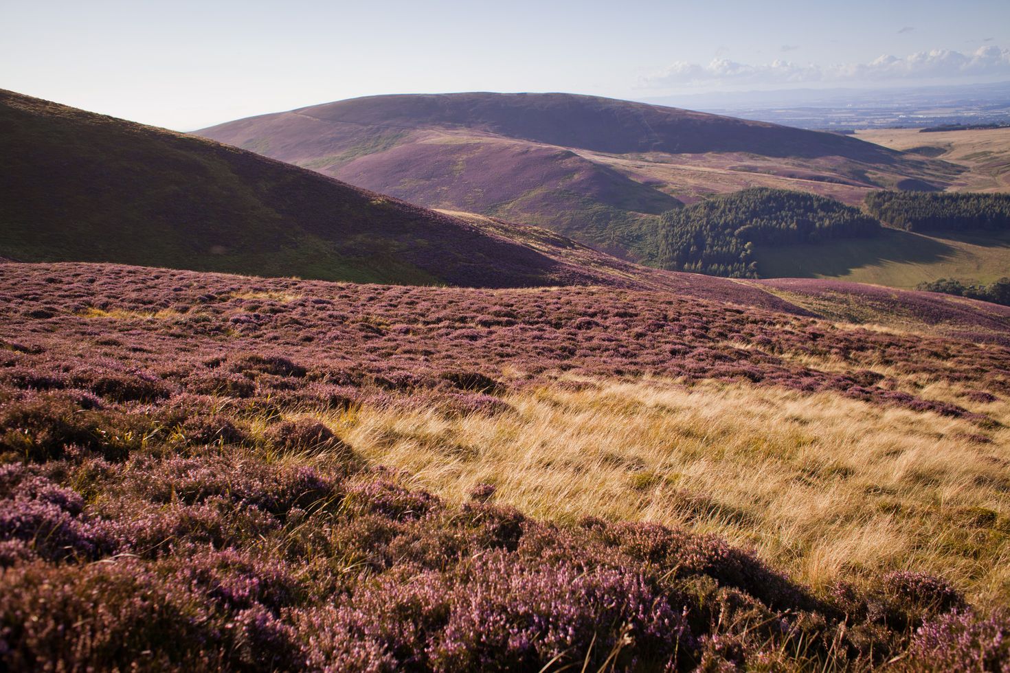 Summer in Scotland