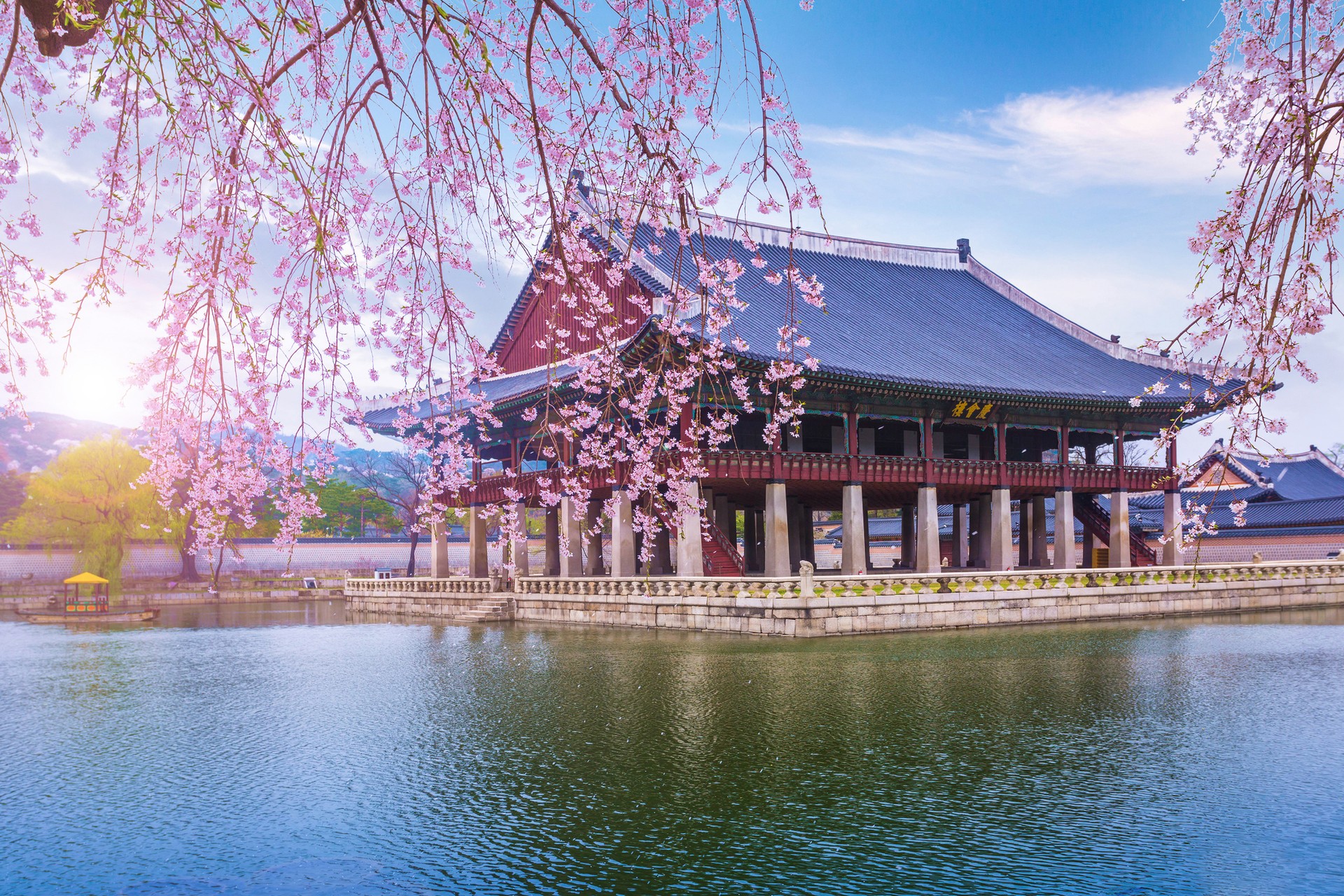 Spring is one of the best time to visit South Korea.