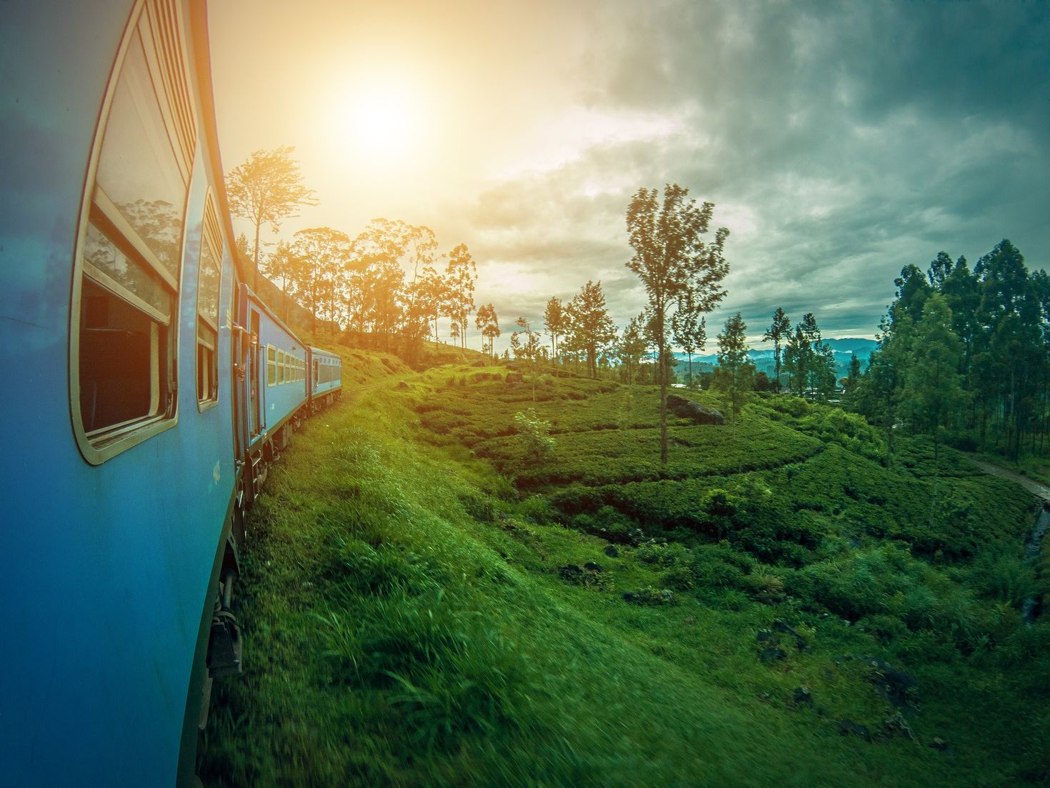 Ella Train Sri Lanka