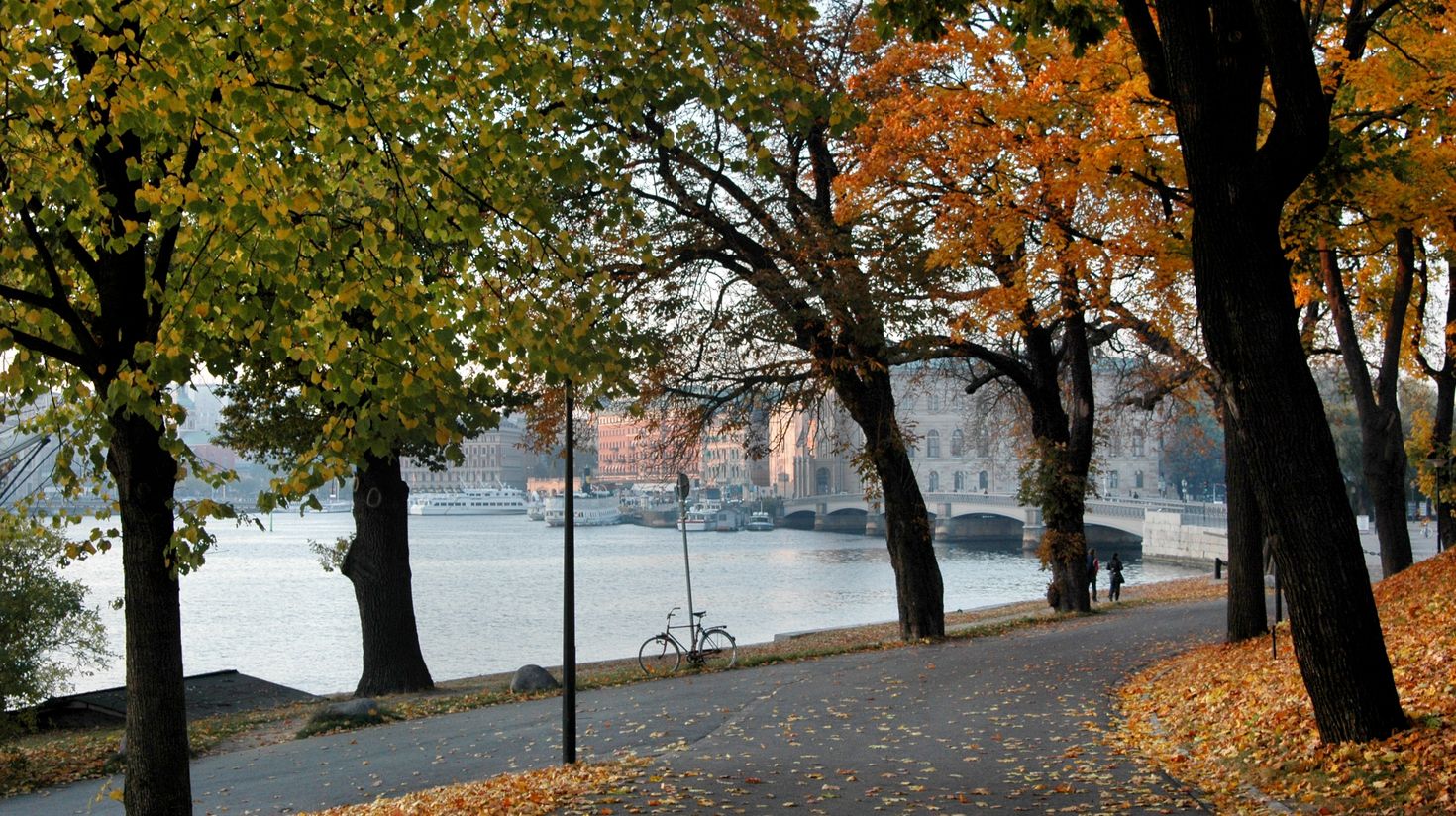 September to October is the best time to visit Sweden to experience autumn