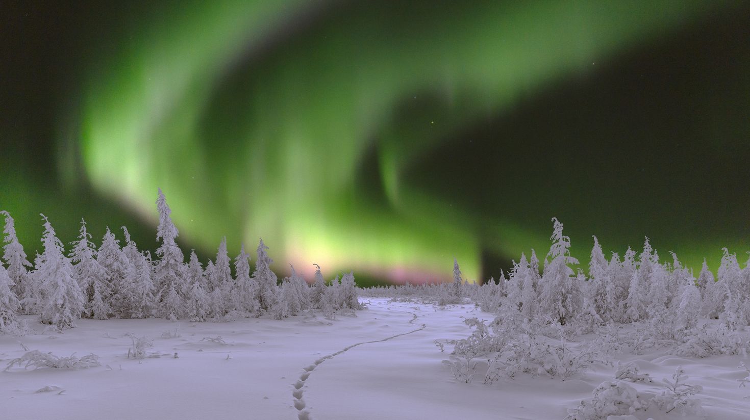 The best time to visit Sweden to witness northern lights is in winter