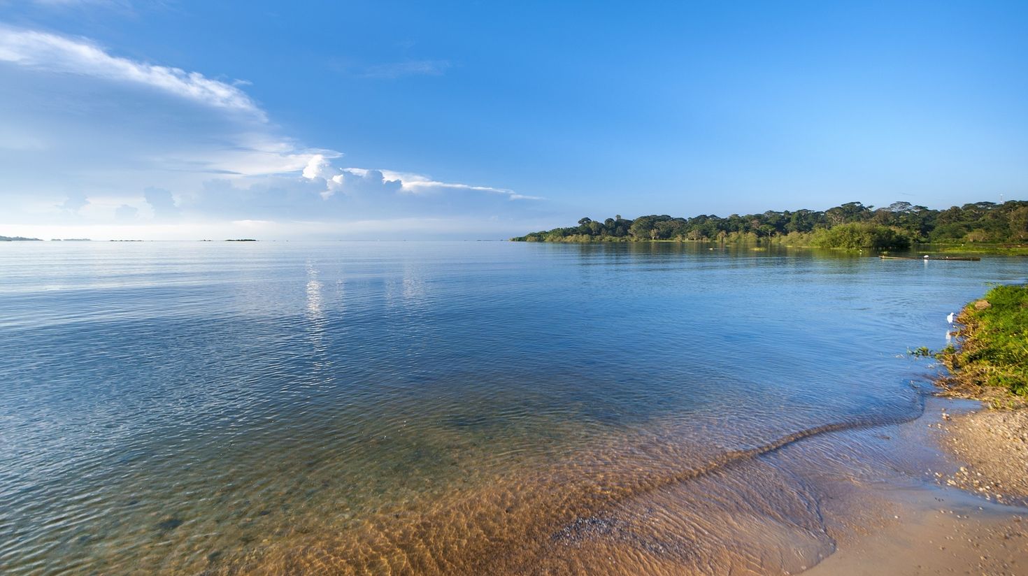 The high seasons are the best times to visit Uganda