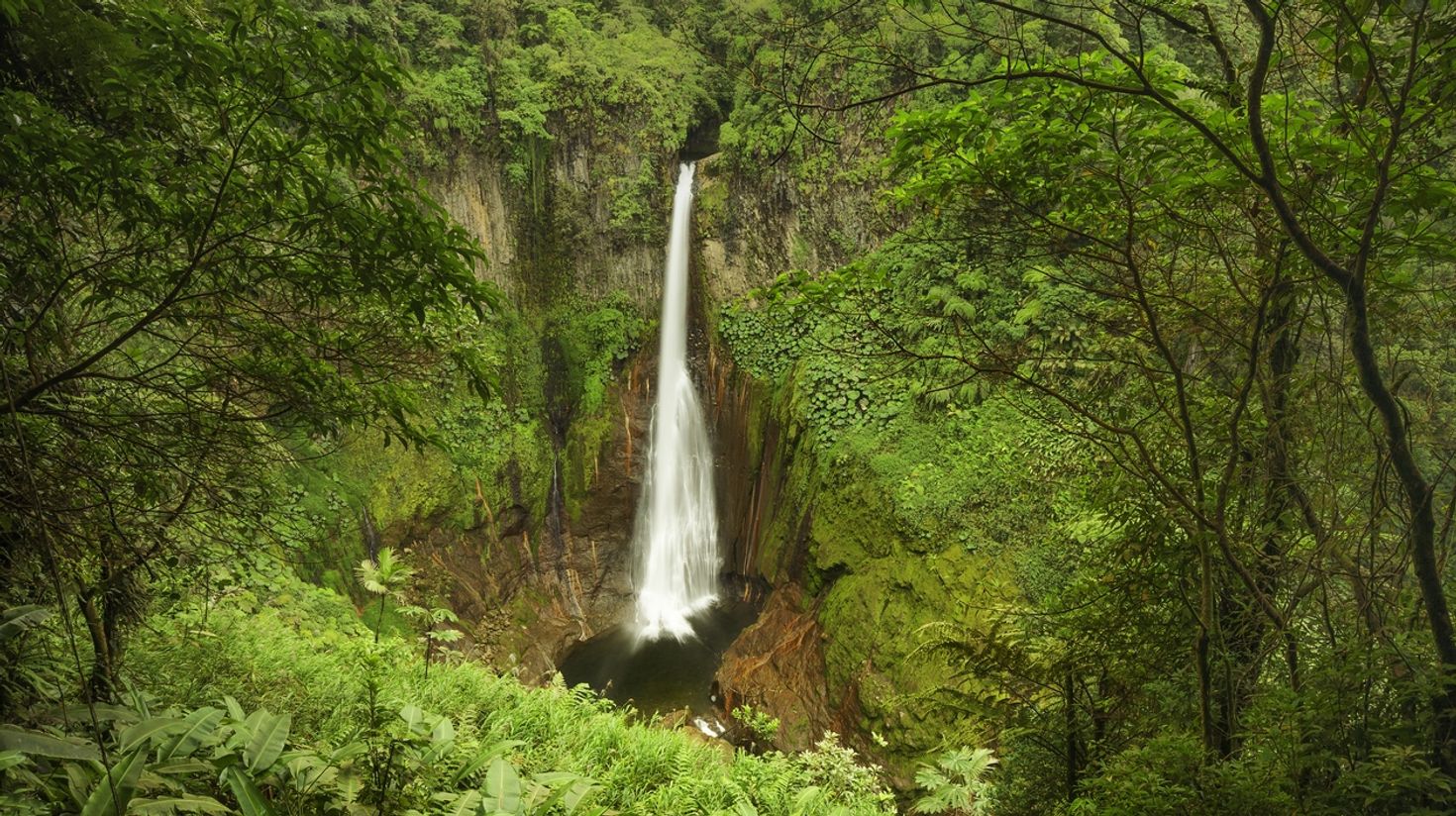 Catarata Del Toros, a waterfall in Costa Rica