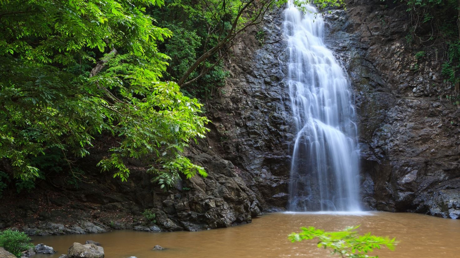 After Montezuma's beaches, visit its waterfall.
