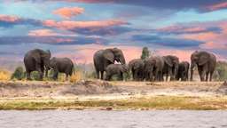 Botswana in 10 Days: 4 Recommended 10-day Itineraries to Botswana