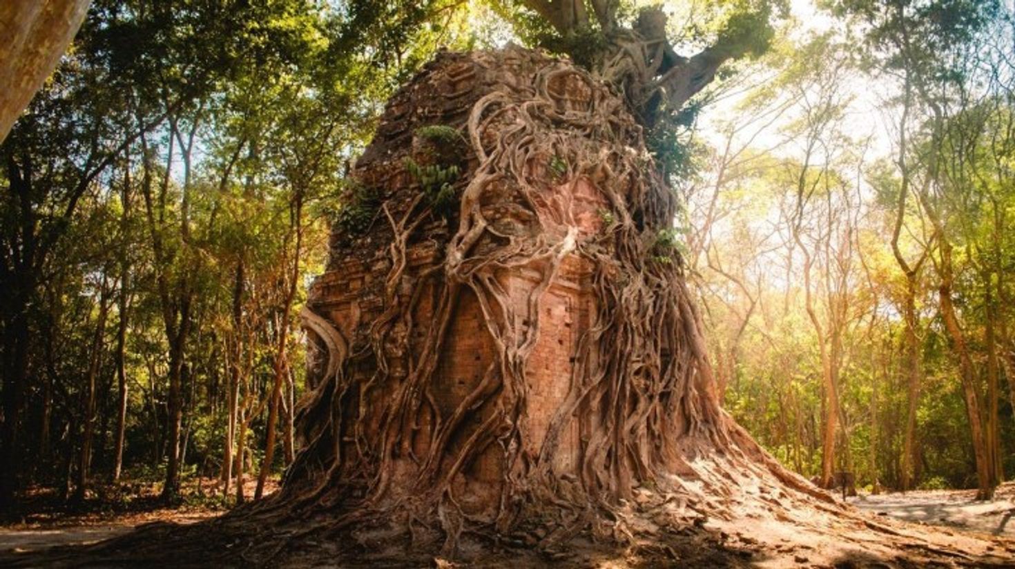 Visit the Sambor Prei Kuk temple ruins that predate the Angkor period.