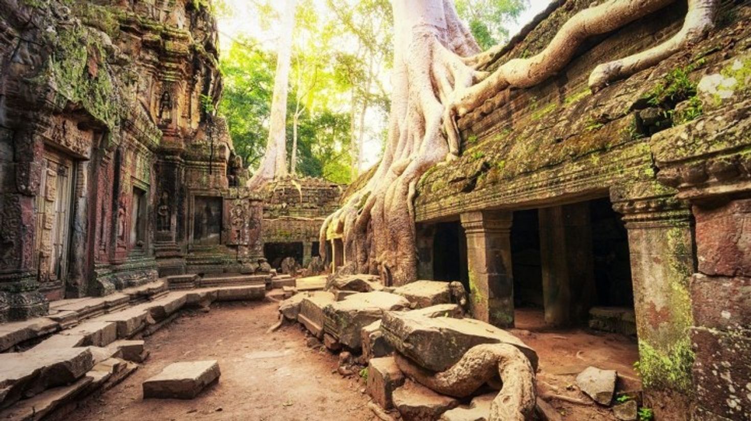 Ancient Khmer temple ruins of Ta Prohm in Siem Reap, Cambodia.