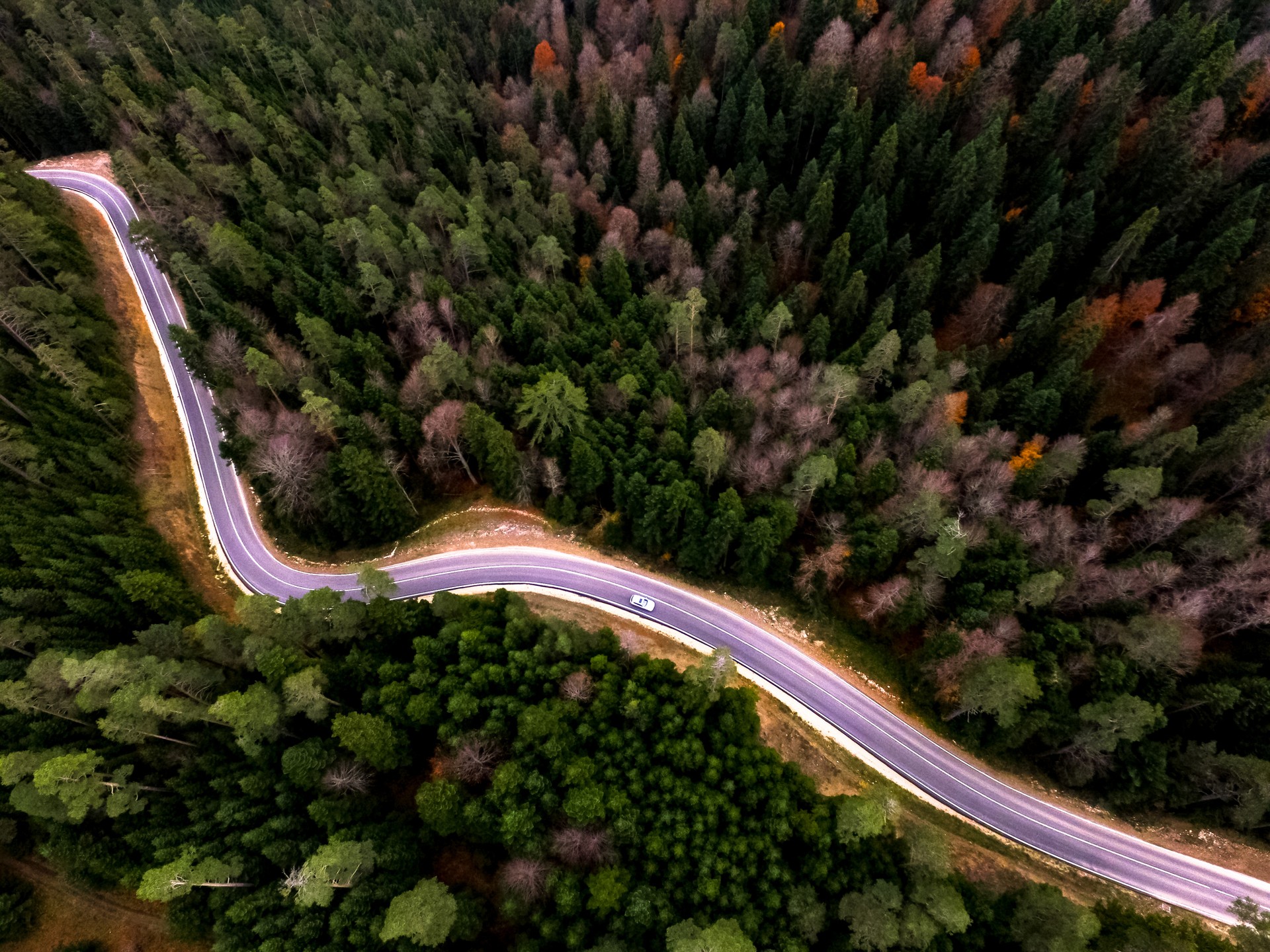 While many opt for an organized tour to visit some of the best attractions of the country, there are also others who want to explore the country on their own.