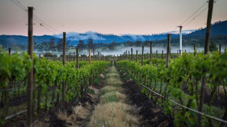Located just an hour drive away from Santiago, Casablanca valley is one of Chile’s best wine regions.