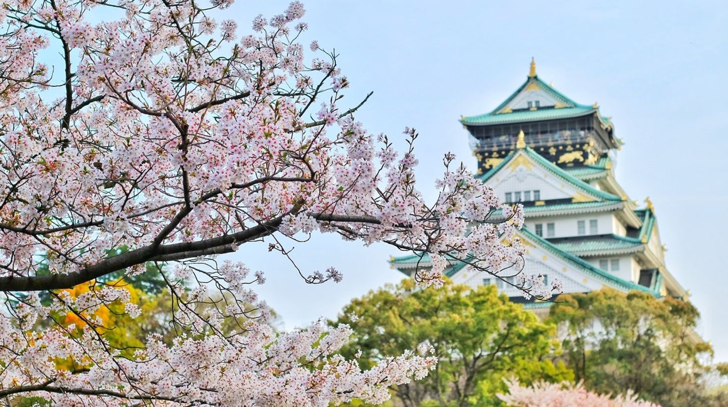 To experience the best of cherry blossom festival in Japan, visit the Nishinomaru Garden having beautiful manicured lawns.