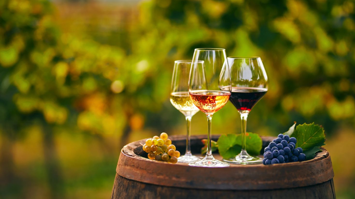 Three glasses with white, rose and red wine on a wooden barrel