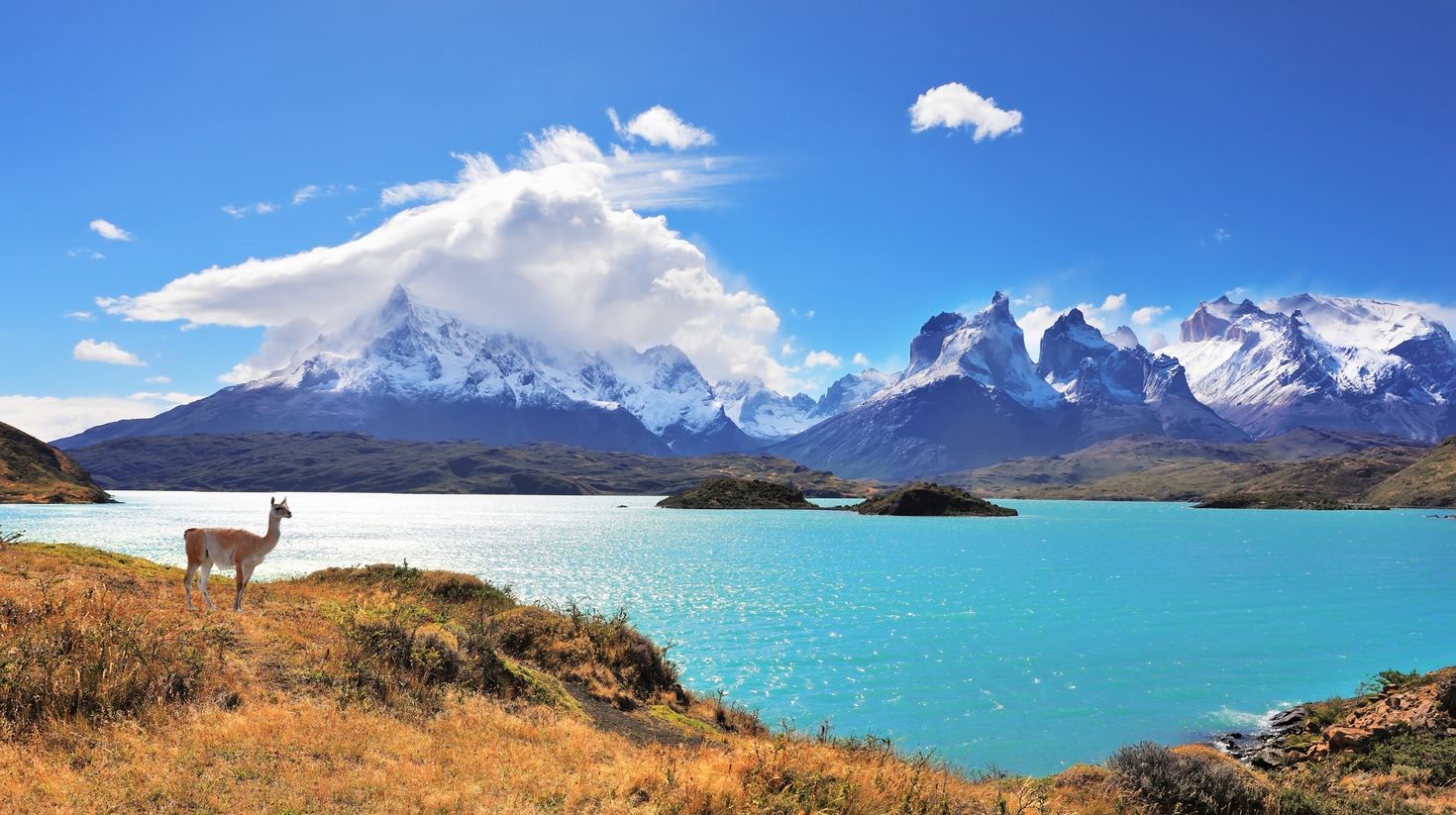 Epic beauty of the landscape of Torres del Paine in southern Chile
