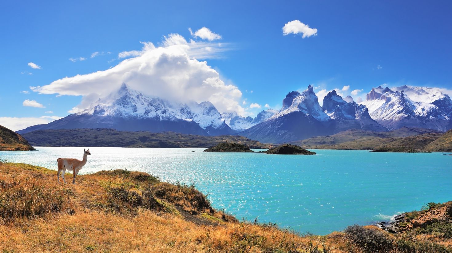 Torres del Paine in southern Chile with silhouette guanaco on lake Pehoe