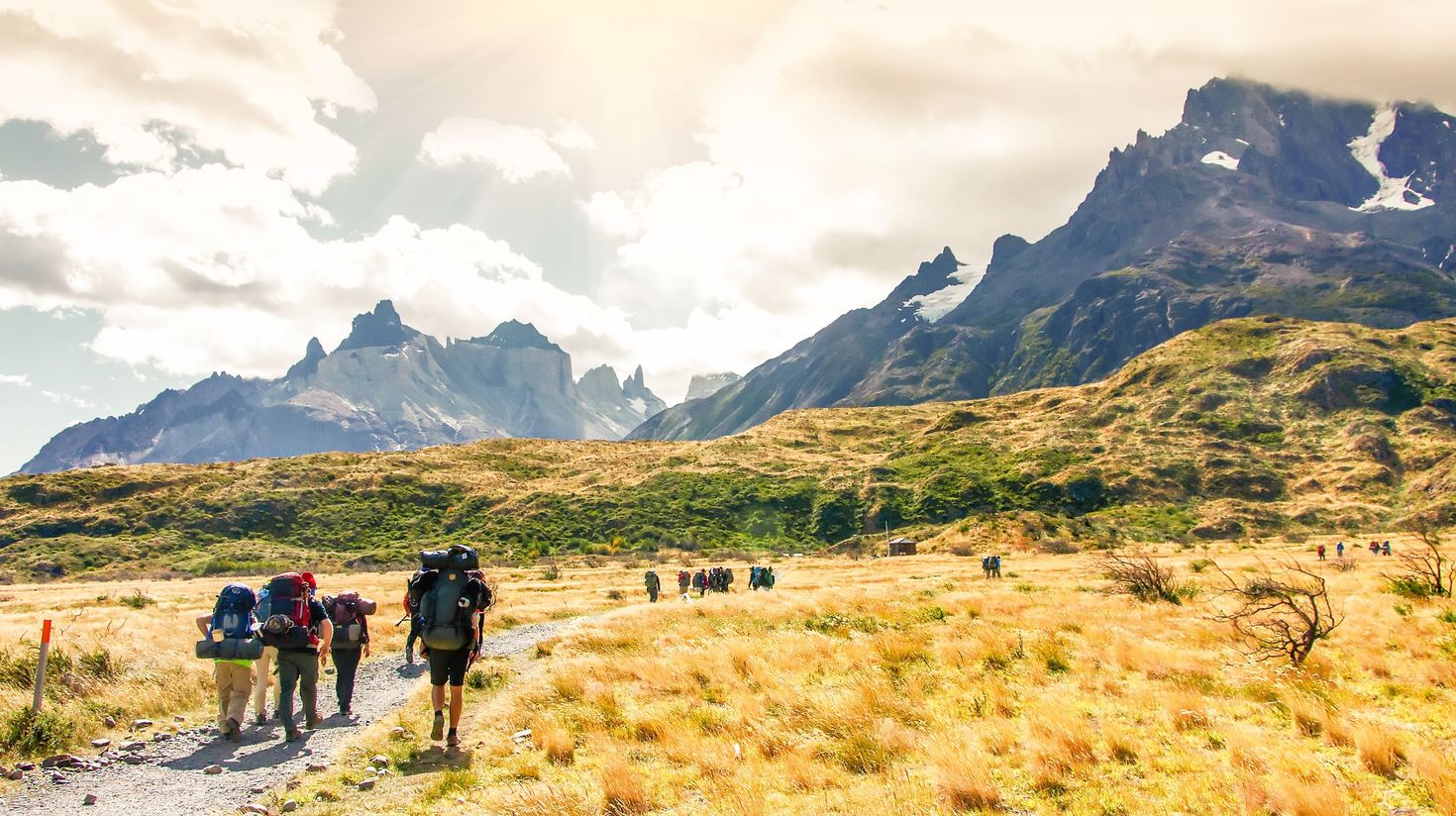 Group of travelers with backpacks walk along a trail in Torres del Paine
