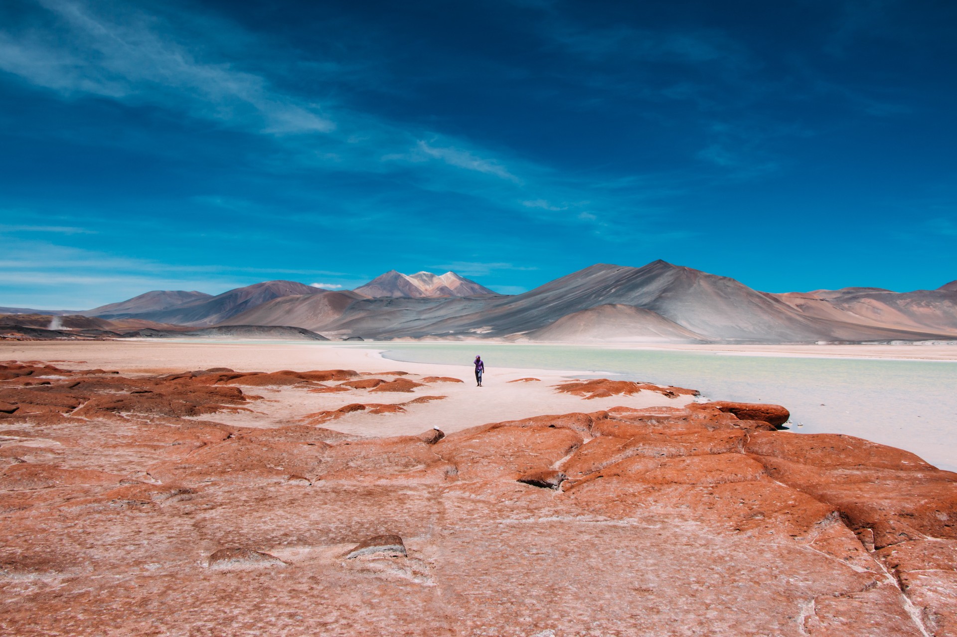 The saline lagoons of Atacama Desert are usually dotted with beautiful pink Andean flamingos and make for amazing Instagram-worthy snaps. A person stands next to a water body in the arid landscape of Atacama during a trip for one week in Chile.