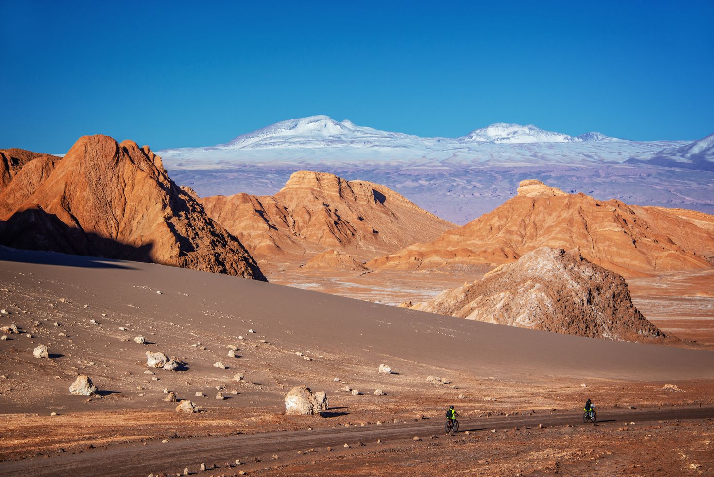 Two people cycle through a track of an arid landscape
