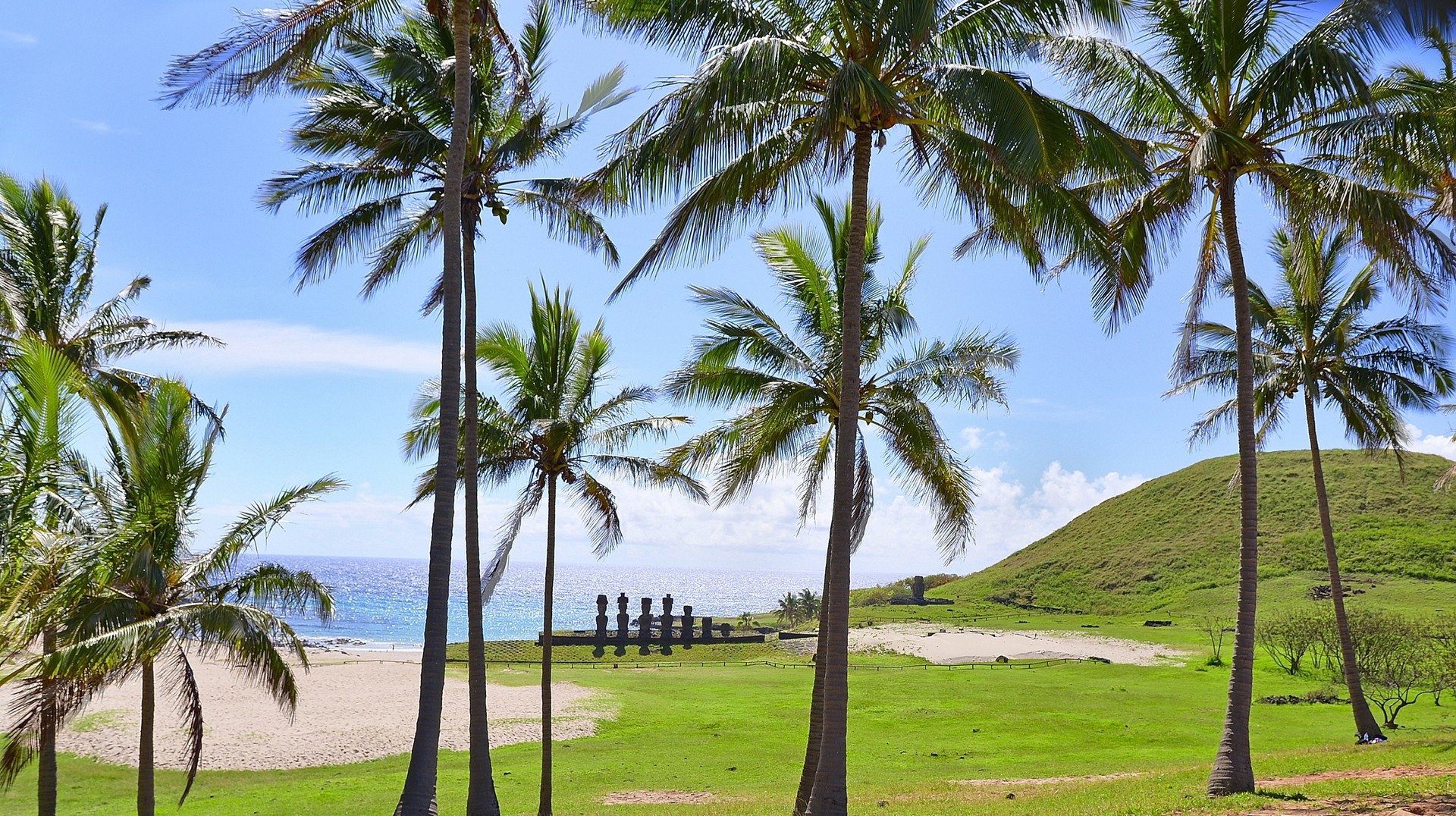 The Anakena beach in Chile in September is one of the most beautiful beaches in the world, with natural white sand and impressive Moai statues. Anakena beach with Moai statue in Chile in September.