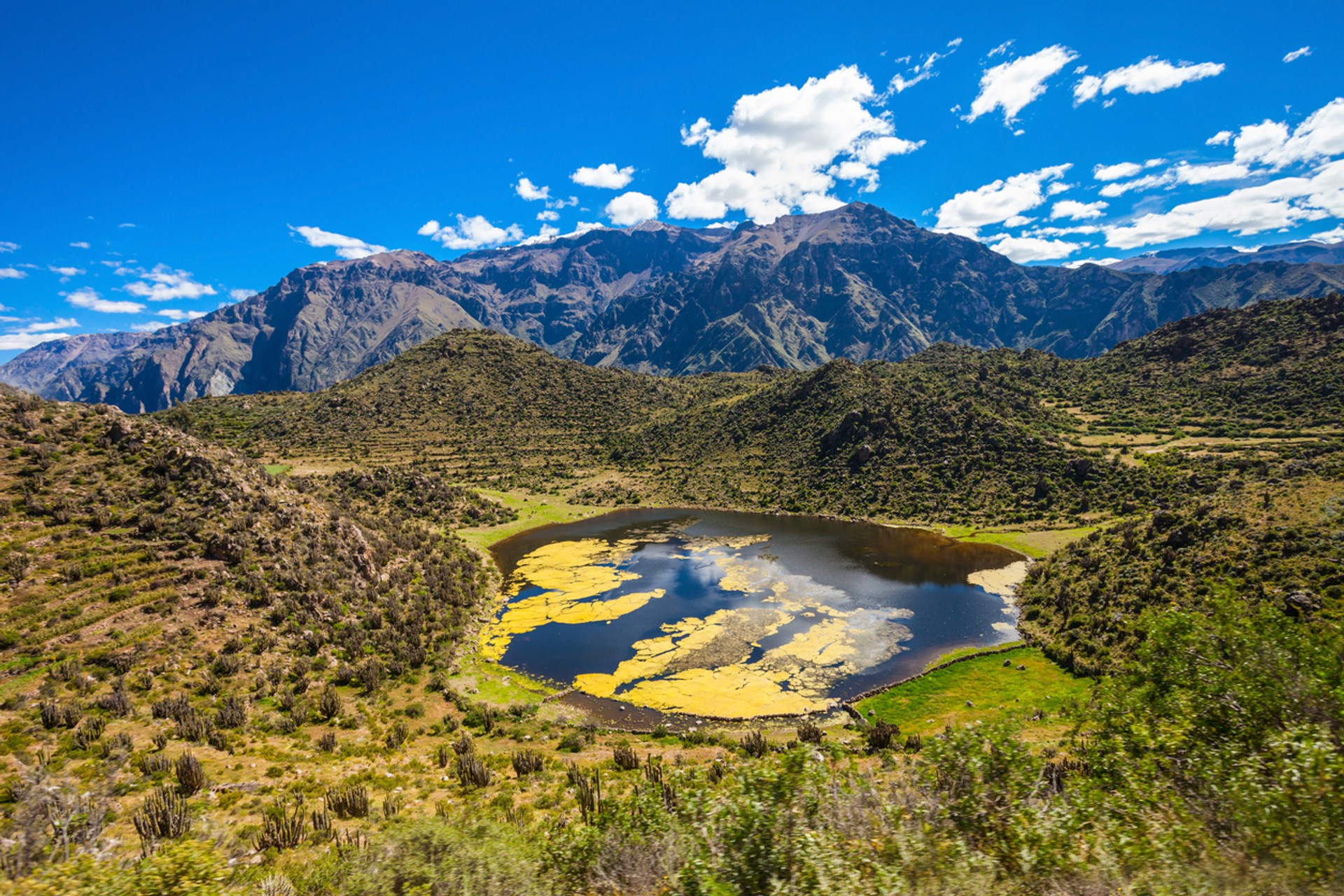 The Colca Canyon trek takes you to one of the deepest canyons in the world and is perfect for trekkers short on time. The Colca Canyon Trek takes you to one of the deepest canyons in the world