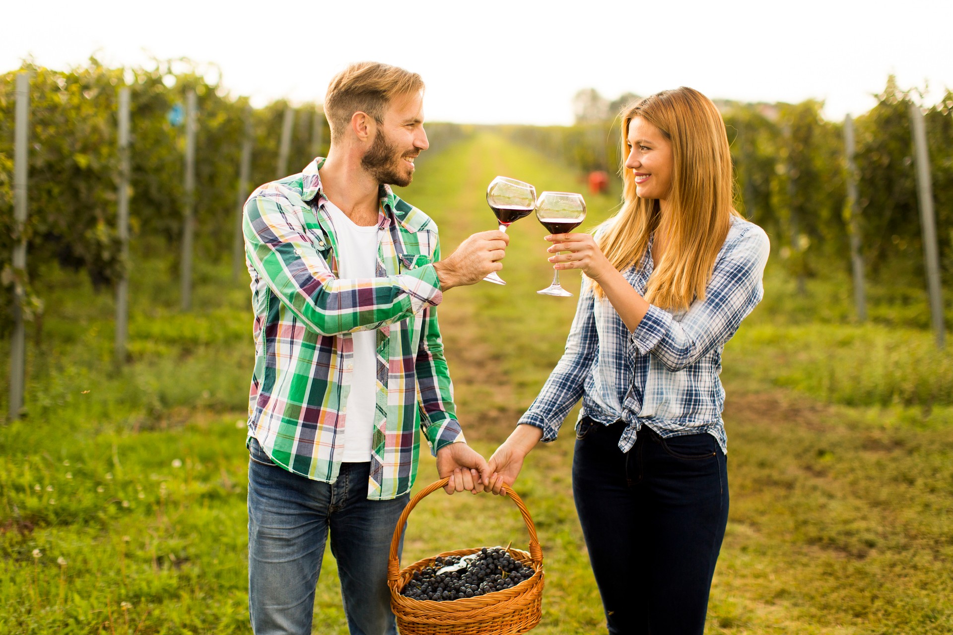 During harvest season in Colchagua Wine Valley, you can combine a wine tasting tour with grape-picking The Colchagua Valley allows travelers to take in the great outdoors whilst sipping on a glass of mouth-watering Chilean wine.