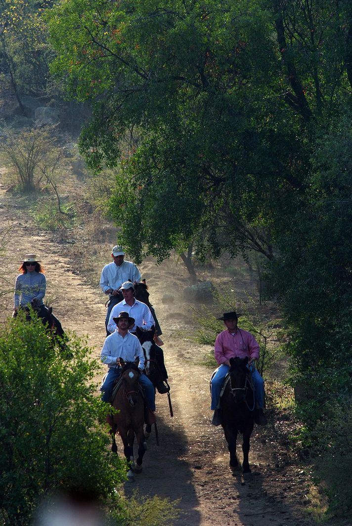 Horse riding wine tour in Montgras