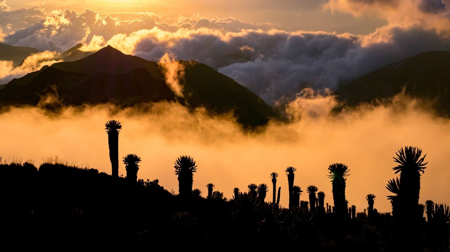 Volcano Tolima in Los Nevados National Park, Colombia in January