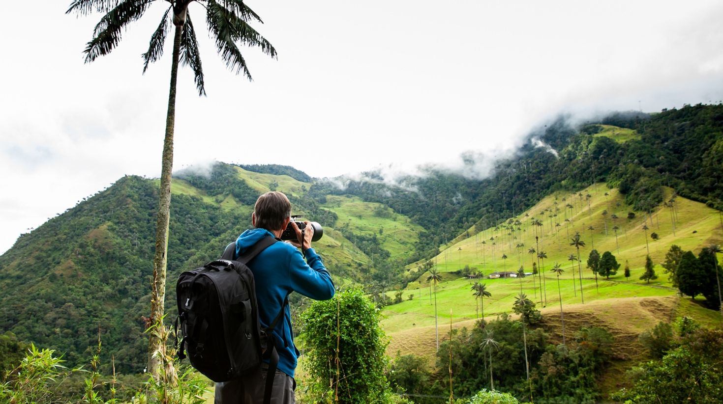 Valle de Cocora in Colombia in July