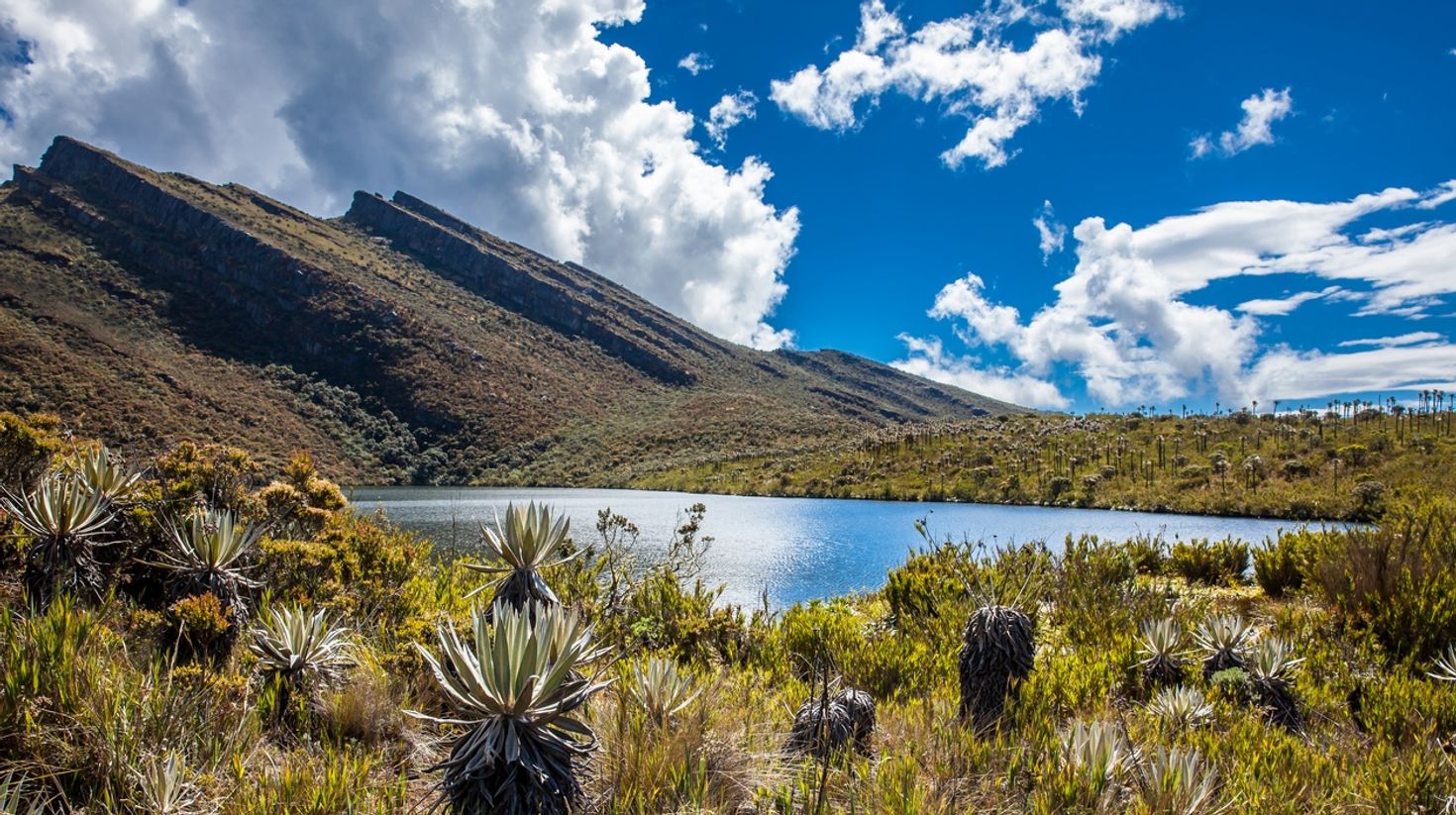 Colombian Andean mountains in March
