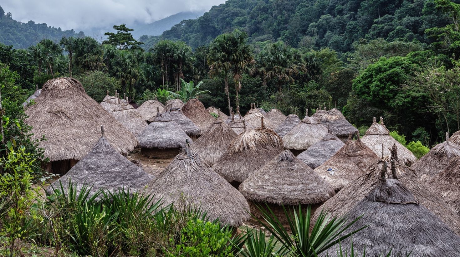 Indigenous huts near Cuidad Perdida in October