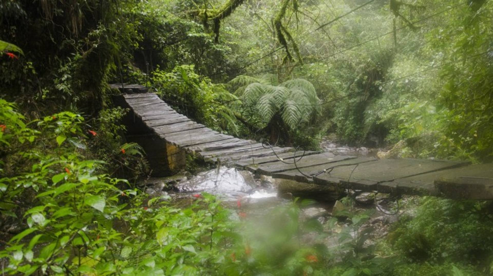 Colombia in September: A Mix of Sun and Rain