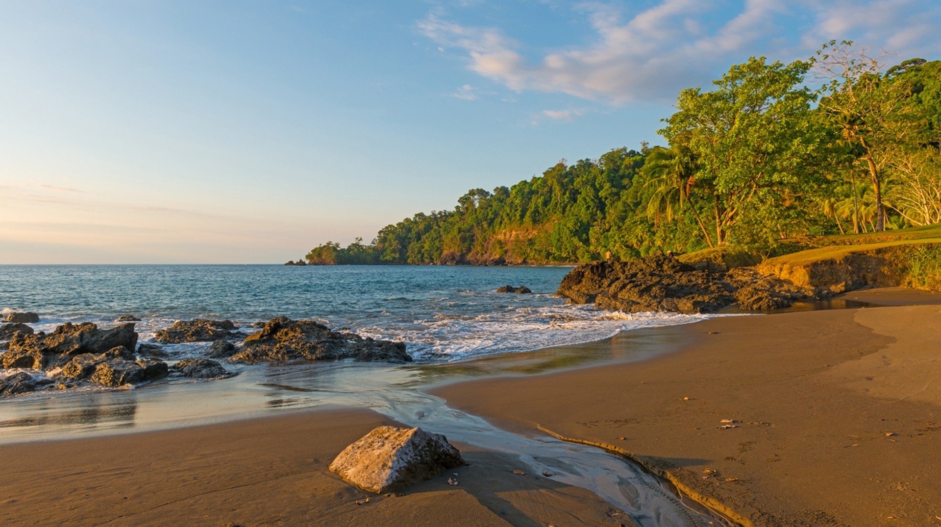 Located in the Osa Peninsula, Corcovado National Park has beaches, swamps, palm groves and more! A beach in Corcovado National Park.