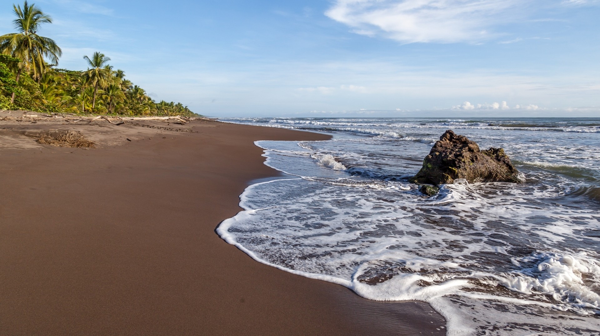 When spending 5 days in Costa Rica, relaxing by the Tortuguero National Park shores is a must. Beach shore in Tortuguero, a must-visit when spending 5 days in Costa Rica.