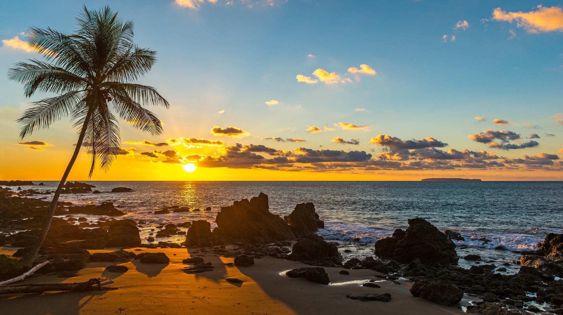 Sunny days and clear skies mean that a trip to Costa Rica in January would have the perfect backdrop for a relaxing experience The silhouette of a palm tree along the Pacific Ocean Coast of Costa Rica in January.