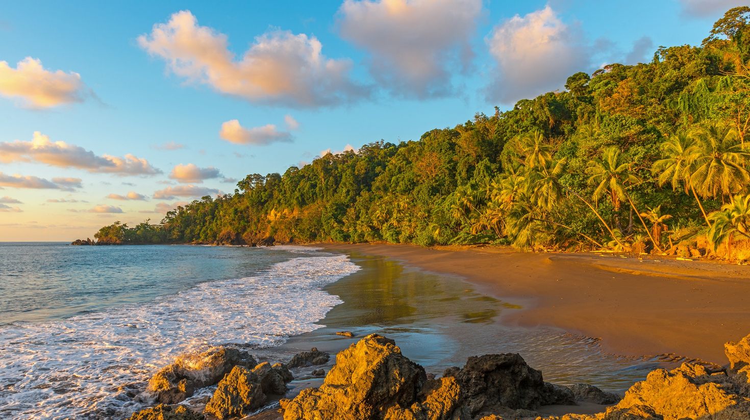 Pacific Coast of Costa Rica in the Osa Peninsula